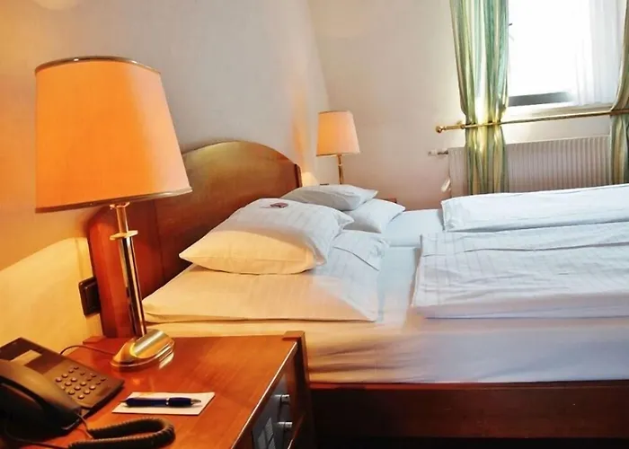 酒店 戈尔纳酒店 4*