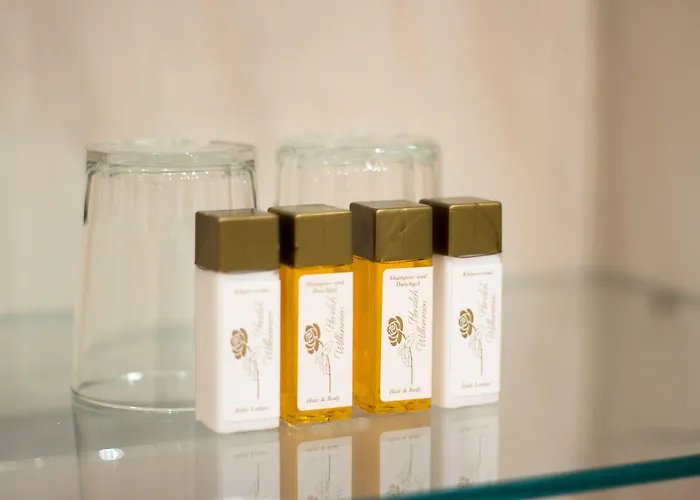 酒店 戈尔纳酒店